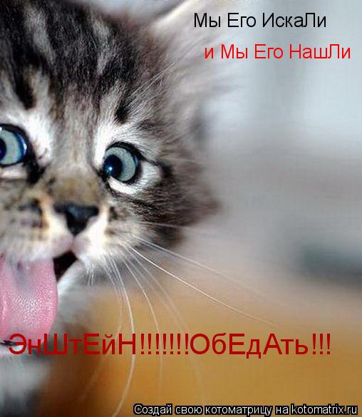 Мы Его ИскаЛи и Мы Его НашЛи ЭнШтЕйН!!!!!!!ОбЕдАть!!!... Котоматрица: Мы Его ИскаЛи и Мы Его НашЛи ЭнШтЕйН!!!!!!!ОбЕдАть!!!