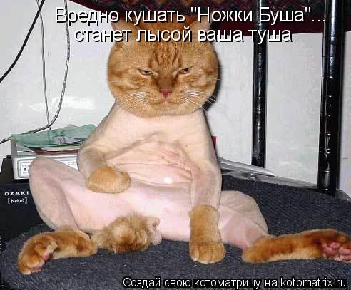 Вредно кушать "Ножки Буша"... станет лысой ваша туша... Котоматрица: Вредно кушать "Ножки Буша"... станет лысой ваша туша