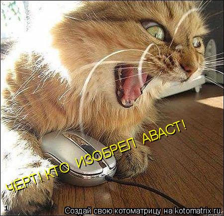 ЧЕРТ! КТО ИЗОБРЕЛ АВАСТ!... Котоматрица: ЧЕРТ! КТО ИЗОБРЕЛ АВАСТ!