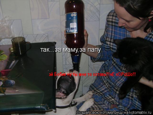 так...за маму,за папу эй Бобик ну ты мне то оставь!!!нЕ хОРоШо!!!... Котоматрица: так...за маму,за папу эй Бобик ну ты мне то оставь!!!нЕ хОРоШо!!!