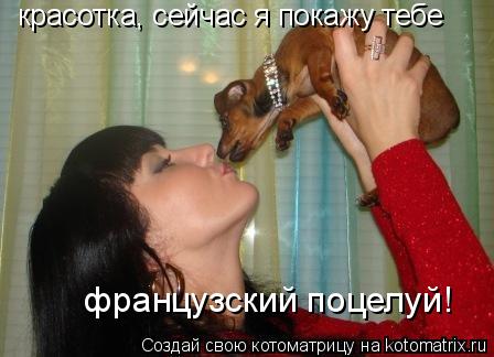 красотка, сейчас я покажу тебе французский поцелуй!... Котоматрица: красотка, сейчас я покажу тебе французский поцелуй!