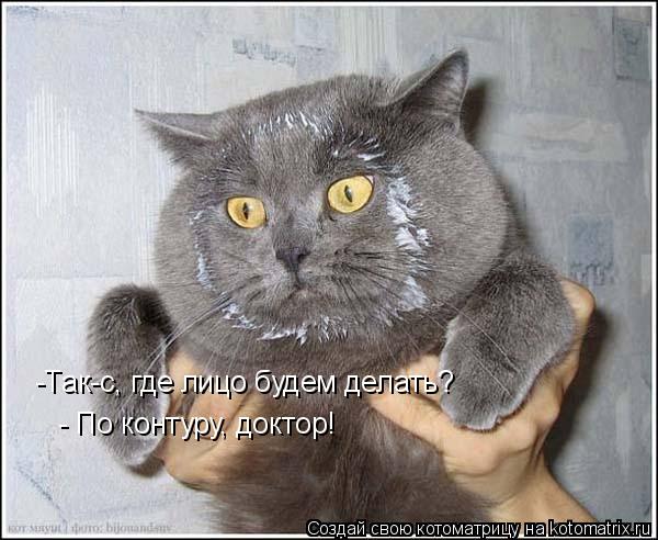 Котоматрица: -Так-с, где лицо будем делать? - По контуру, доктор!
