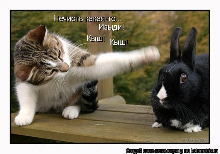 Нечисть какая-то... Изыди! Кыш! Кыш!... Котоматрица: Нечисть какая-то... Изыди! Кыш! Кыш!