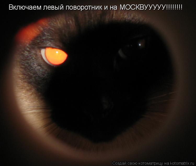 Включаем левый поворотник и на МОСКВУУУУУ!!!!!!!!... Котоматрица: Включаем левый поворотник и на МОСКВУУУУУ!!!!!!!!