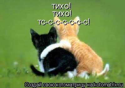 тихо! тихо! тс-с-с-с-с-с-с!... Котоматрица: тихо! тихо! тс-с-с-с-с-с-с!