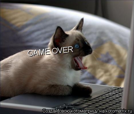 Котоматрица: GAME OVER GAME OVER