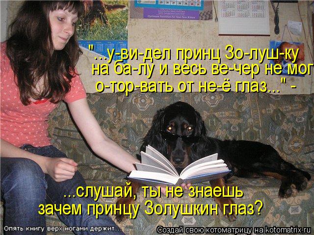 "...у-ви-дел принц Зо-луш-ку на ба-лу и весь ве-чер не мог о-тор-вать от не-ё глаз..." - ...слушай... Котоматрица: "...у-ви-дел принц Зо-луш-ку на ба-лу и весь ве-чер не мог о-тор-вать от не-ё глаз..." - ...слушай, ты не знаешь зачем принцу Золушкин глаз?