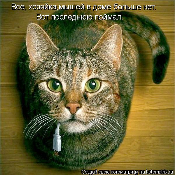 Всё, хозяйка,мышей в доме больше нет. Вот последнюю поймал.... Котоматрица: Всё, хозяйка,мышей в доме больше нет. Вот последнюю поймал.