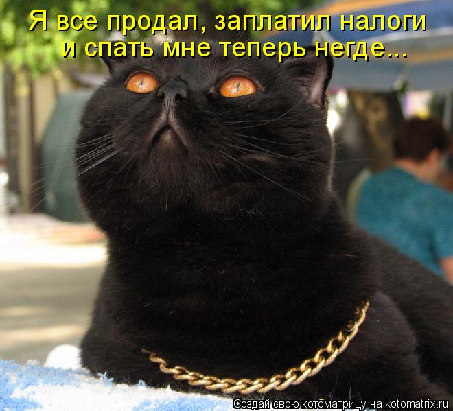 Я все продал, заплатил налоги и спать мне теперь негде...... Котоматрица: Я все продал, заплатил налоги и спать мне теперь негде...