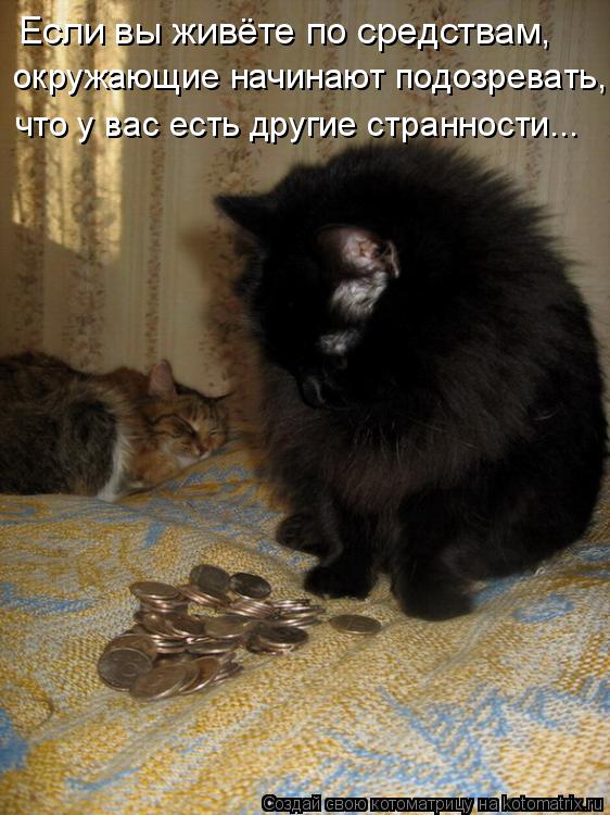 Если вы живёте по средствам, окружающие начинают подозревать, что у вас есть другие странности...... Котоматрица: Если вы живёте по средствам, окружающие начинают подозревать, что у вас есть другие странности...