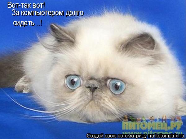 Вот-так вот! За компьютером долго сидеть ..!... Котоматрица: Вот-так вот! За компьютером долго сидеть ..!