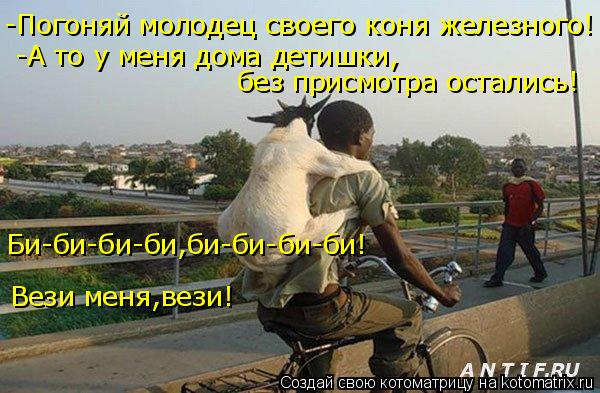 -Погоняй молодец своего коня железного! -А то у меня дома детишки, без присмотра остались! Вези меня,... Котоматрица: -Погоняй молодец своего коня железного! -А то у меня дома детишки, без присмотра остались! Вези меня,вези! Би-би-би-би,би-би-би-би!