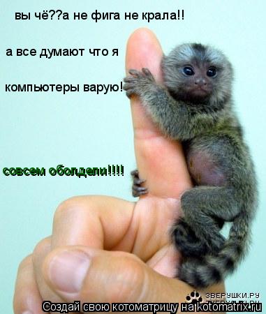 Котоматрица: вы чё??а не фига не крала!! вы чё??а не фига не крала!! а все думают что я  компьютеры варую! совсем оболдели!!!!
