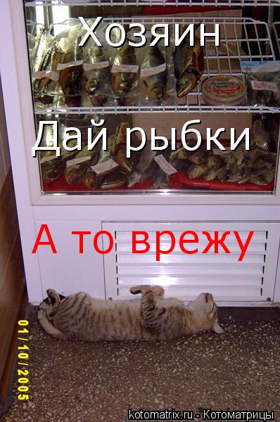 Хозяин Дай рыбки А то врежу... Котоматрица: Хозяин Дай рыбки А то врежу