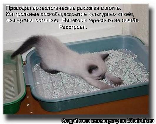 Котоматрица: Проводил археологические раскопки в лотке. Контрольные соскобы,вскрытие культурных слоёв, экспертиза останков...Ничего интересного не наш