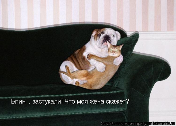 Блин... застукали! Что моя жена скажет?... Котоматрица: Блин... застукали! Что моя жена скажет?