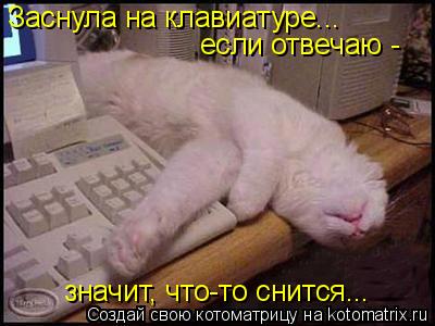 Котоматрица: Заснула на клавиатуре...  если отвечаю -  значит, что-то снится...