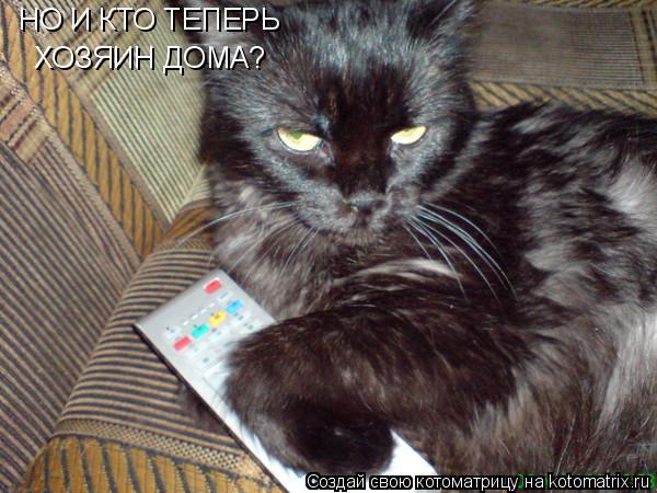 НО И КТО ТЕПЕРЬ ХОЗЯИН ДОМА?... Котоматрица: НО И КТО ТЕПЕРЬ ХОЗЯИН ДОМА?