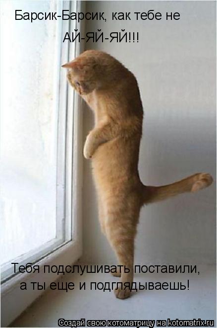 Барсик-Барсик, как тебе не АЙ-ЯЙ-ЯЙ!!! Тебя подслушивать поставили, а ты еще и подглядываешь!... Котоматрица: Барсик-Барсик, как тебе не АЙ-ЯЙ-ЯЙ!!! Тебя подслушивать поставили, а ты еще и подглядываешь!