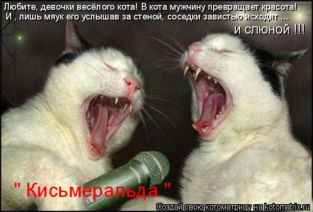 Любите, девочки весёлого кота! В кота мужчину превращает красота! И , лишь мяук его услышав за стеной... Котоматрица: Любите, девочки весёлого кота! В кота мужчину превращает красота! И , лишь мяук его услышав за стеной, соседки завистью исходят ... и слюной !!!
