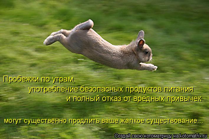 Пробежки по утрам, употребление безопасных продуктов питания и полный отказ от вредных привычек могут... Котоматрица: Пробежки по утрам, употребление безопасных продуктов питания и полный отказ от вредных привычек могут существенно продлить ваше жалкое су