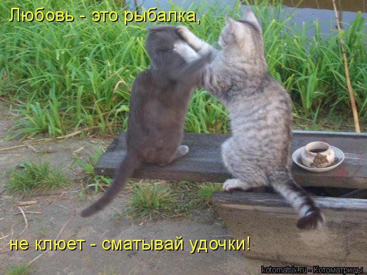 Любовь - это рыбалка, не клюет - сматывай удочки!... Котоматрица: Любовь - это рыбалка, не клюет - сматывай удочки!