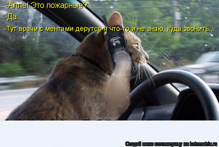 -Алле! Это пожарные? -Да. -Тут врачи с ментами дерутся-я что-то и не знаю, куда звонить...... Котоматрица: -Алле! Это пожарные? -Да. -Тут врачи с ментами дерутся-я что-то и не знаю, куда звонить...