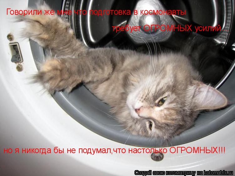 Говорили же мне что подготовка в космонавты требует ОГРОМНЫХ усилий но я никогда бы не подумал,что на... Котоматрица: Говорили же мне что подготовка в космонавты требует ОГРОМНЫХ усилий но я никогда бы не подумал,что настолько ОГРОМНЫХ!!! ...