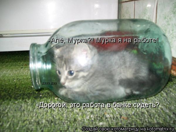 дззз дзз -Дорогой, это работа в банке сидеть? -Алё, Мурка?! Мурка я на работе!... Котоматрица: дззз дзз -Дорогой, это работа в банке сидеть? -Алё, Мурка?! Мурка я на работе!