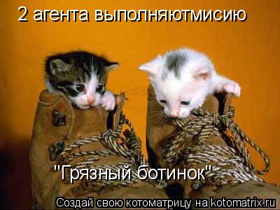 2 агента выполняютмисию "Грязный ботинок"... Котоматрица: 2 агента выполняютмисию "Грязный ботинок"