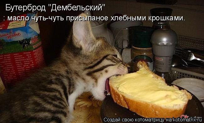 Бутерброд "Дембельский" : масло чуть-чуть присыпаное хлебными крошками.... Котоматрица: Бутерброд "Дембельский" : масло чуть-чуть присыпаное хлебными крошками.