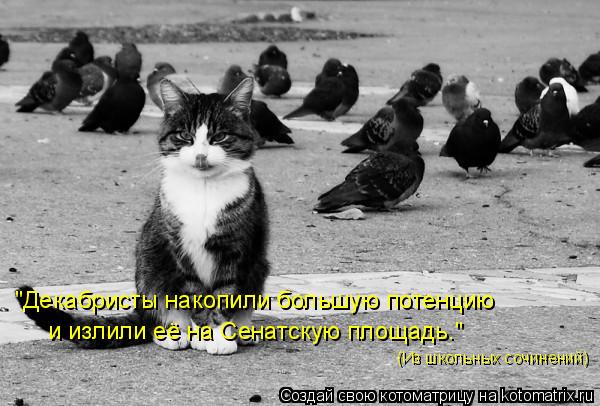"Декабристы накопили большую потенцию и излили её на Сенатскую площадь." (Из школьных сочинений)... Котоматрица: "Декабристы накопили большую потенцию и излили её на Сенатскую площадь." (Из школьных сочинений)