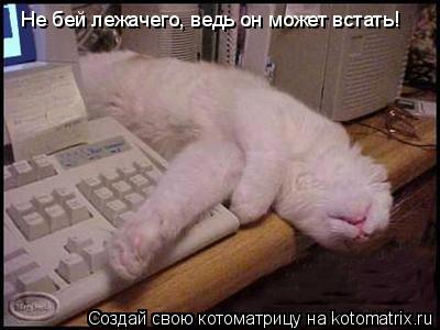 Не бей лежачего, ведь он может встать!... Котоматрица: Не бей лежачего, ведь он может встать!