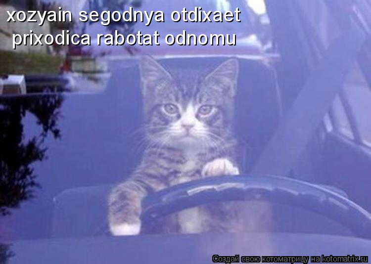 xozyain segodnya otdixaet prixodica rabotat odnomu... Котоматрица: xozyain segodnya otdixaet prixodica rabotat odnomu