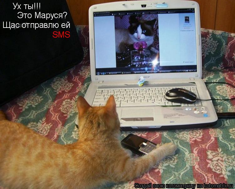 Ух ты!!! Это Маруся? Щас отправлю ей SMS... Котоматрица: Ух ты!!! Это Маруся? Щас отправлю ей SMS