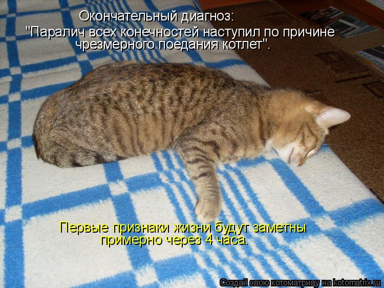 Котоматрица: "Паралич всех конечностей наступил по причине чрезмерного поедания котлет". Окончательный диагноз: Первые признаки жизни будут заметны пр