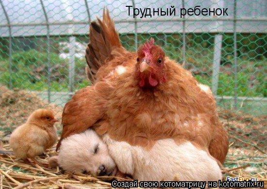 Трудный ребенок... Котоматрица: Трудный ребенок