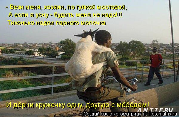 - Вези меня, хозяин, по гулкой мостовой, А если я усну - будить меня не надо!!! Тихонько надои парног... Котоматрица: - Вези меня, хозяин, по гулкой мостовой, А если я усну - будить меня не надо!!! Тихонько надои парного молочка И дёрни кружечку одну, другую с мё
