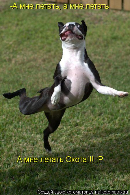 -А мне летать, а мне летать А мне летать Охота!!! :Р... Котоматрица: -А мне летать, а мне летать А мне летать Охота!!! :Р