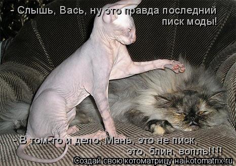 - Слышь, Вась, ну это правда последний писк моды! - В том-то и дело, Мань, это не писк, это, блин, во... Котоматрица: - Слышь, Вась, ну это правда последний писк моды! - В том-то и дело, Мань, это не писк, это, блин, вопль!!!!