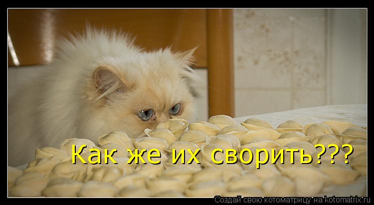 Как же их сворить???... Котоматрица: Как же их сворить???