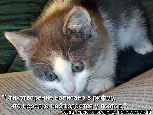 "Стихотворение написано в рифму, что нередко наблюдается у поэтов."... Котоматрица: "Стихотворение написано в рифму, что нередко наблюдается у поэтов."