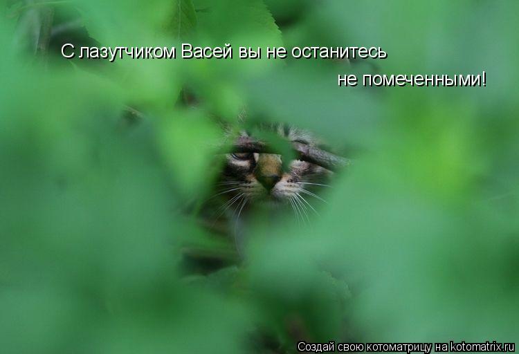 С лазутчиком Васей вы не останитесь не помеченными!... Котоматрица: С лазутчиком Васей вы не останитесь не помеченными!