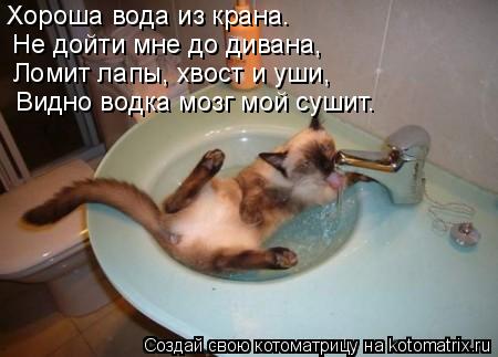 Хороша вода из крана. Не дойти мне до дивана, Ломит лапы, хвост и уши, Видно водка мозг мой сушит.... Котоматрица: Хороша вода из крана. Не дойти мне до дивана, Ломит лапы, хвост и уши, Видно водка мозг мой сушит.
