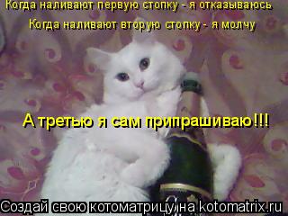 Котоматрица: Когда наливают первую стопку - я отказываюсь Когда наливают вторую стопку - я молчу А третью я сам припрашиваю!!!