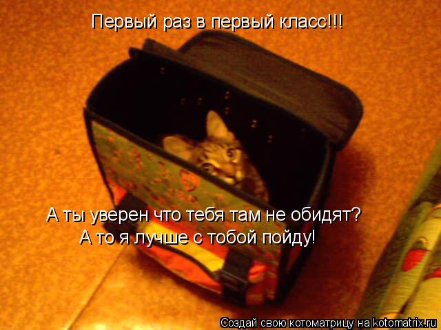 Первый раз в первый класс!!! А ты уверен что тебя там не обидят? А то я лучше с тобой пойду!... Котоматрица: Первый раз в первый класс!!! А ты уверен что тебя там не обидят? А то я лучше с тобой пойду!