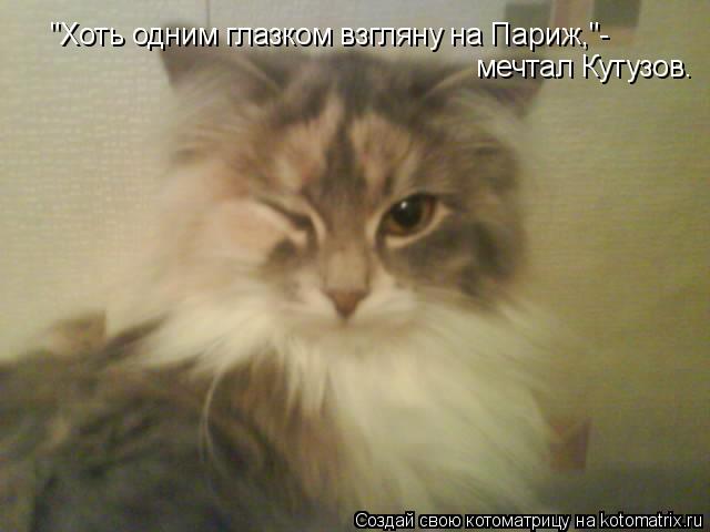 "Хоть одним глазком взгляну на Париж,"- мечтал Кутузов.... Котоматрица: "Хоть одним глазком взгляну на Париж,"- мечтал Кутузов.