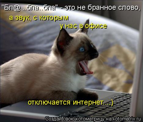 "Бл@ ..бла..бла" - это не бранное слово, а звук, с которым у нас в офисе отключается интернет....)... Котоматрица: "Бл@ ..бла..бла" - это не бранное слово, а звук, с которым у нас в офисе отключается интернет....)