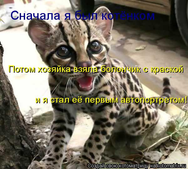 Сначала я был котёнком Потом хозяйка взяла болончик с краской и я стал её первым автопортретом!... Котоматрица: Сначала я был котёнком Потом хозяйка взяла болончик с краской и я стал её первым автопортретом!