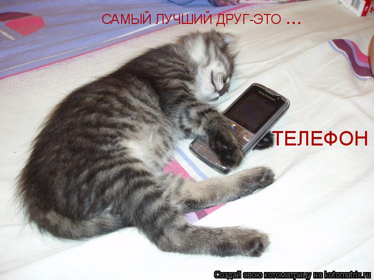САМЫЙ ЛУЧШИЙ ДРУГ-ЭТО ТЕЛЕФОН ...... Котоматрица: САМЫЙ ЛУЧШИЙ ДРУГ-ЭТО ТЕЛЕФОН ...